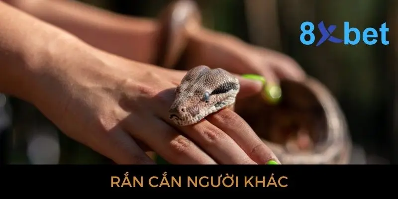 Giải mã giấc mơ thấy rắn: Bí ẩn và điềm báo gì? 2 Nằm mơ thấy con rắn cắn người khác